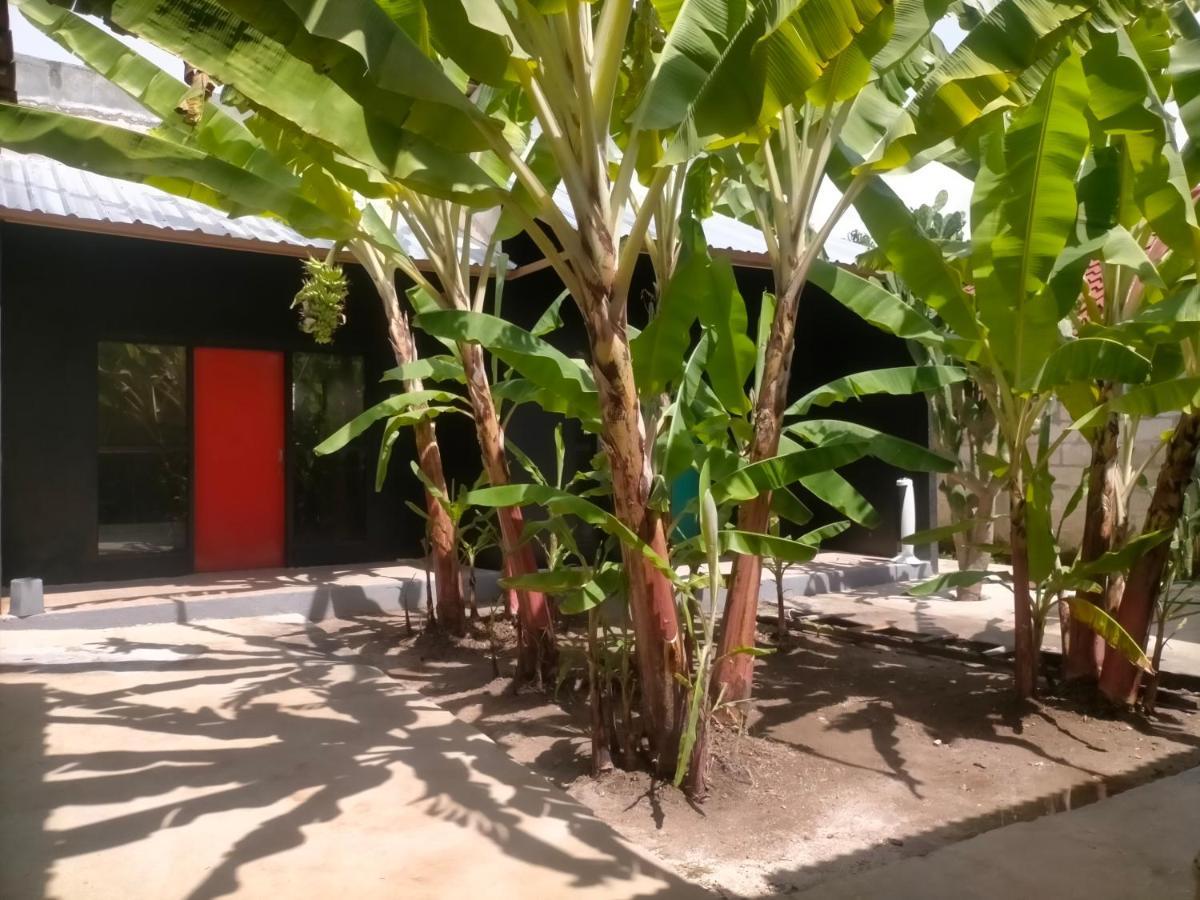 Batununggul Dragonfly Hostel And Homestay מראה חיצוני תמונה